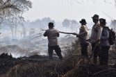 Lahan Gambut Batang Gansal Terbakar