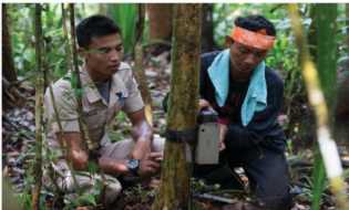 Lokasi Penemuan Korban Serangan Harimau Telah Dipasang Kamera Trap Oleh BBKSDA