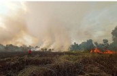 Sore Ini Tercatat 6 Titik Hotspot Di  Riau, 1 Diantaranya  di Inhu