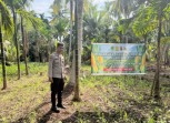 Om Bhabin Milenial  Polsek Tembilahan Cek Tanaman Jagung Warga Binaan
