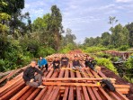 Cegah Kerusakan Hutan Produksi.  Polres Inhu Dan Tim Gabungan  Temukan Ratusan Kubik Kayu