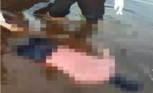 Tergelincir Saat Mencuci Sepeda, Nenek Ditemukan Tewas