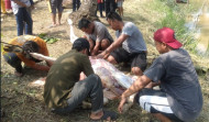 PT Coralindo Sumbang Hewan Kurban Ke Mesjid Ini.