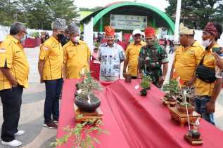 Terasa Pameran Nasional, PPBI Inhu Gelar Kontes Pesona Bonsai dan diikuti 548 Bonsai