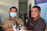Warga Siberia Inhu Serahkan Bayi Beruang Madu Kepada BKSDA Riau