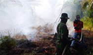 Sore ini Tercatat 11 Titik Hotspot di Riau 6 Titik  Diantaranya di Inhu