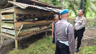Dukung Ketahanan Pangan Polisi Inhu Kembangkan Peternakan Rakyat