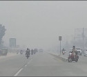 Ternyata Kabut Asap di Riau Datang dari Daerah Lain