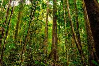 Gesa DLHK Riau Untuk Proses Penetapan Kawasan Hutan