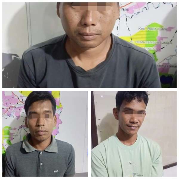 Diduga Angkut  Kayu Olahan dari Kawasan Hutan, Polres Inhu Amankan 3 Pelaku