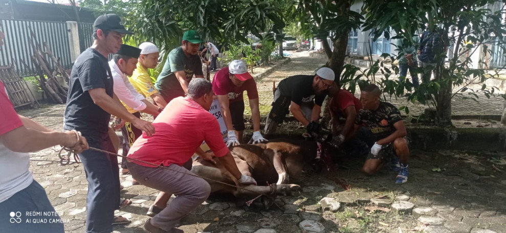PWI Sembelih Sembilan Hewan Kurban