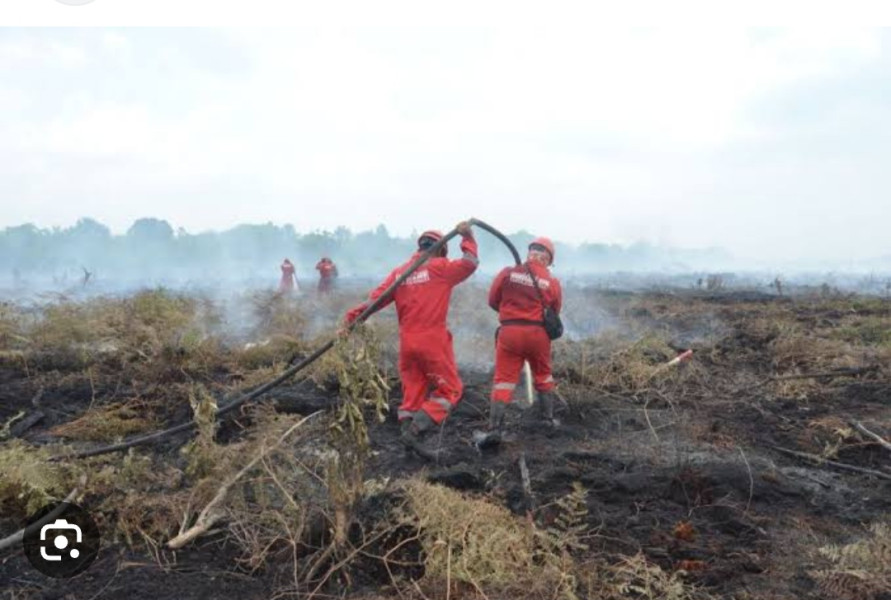 Terdata 4 Titik Panas di Riau 2 di Inhu