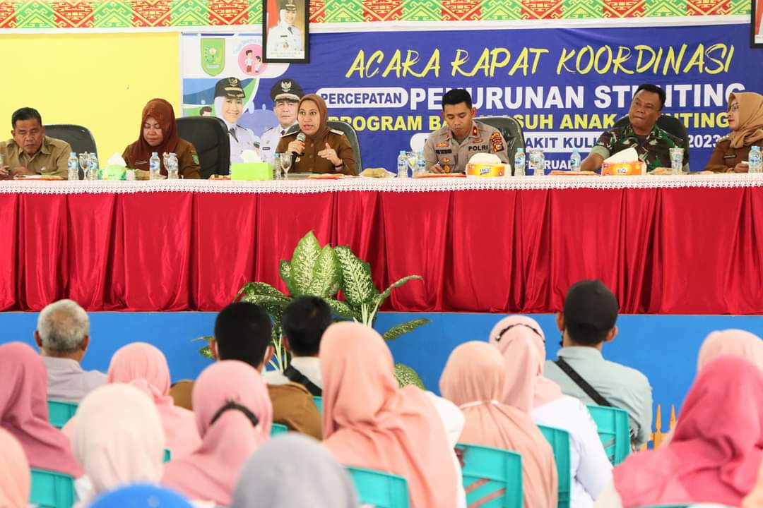 Bupati Inhu Hadiri Rakor Penurunan Stanting.