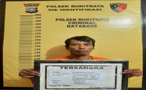 Jual Motor Curian Di Facebook, Hermansyah Dibekuk Polisi