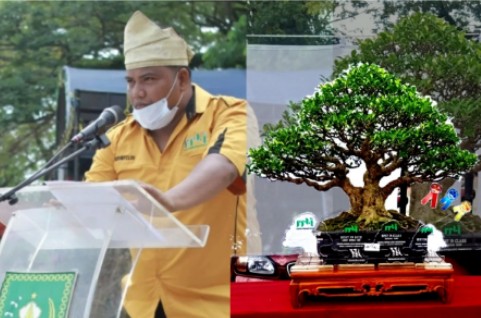 Pohon Beringin Berumur 15 Tahun Tinggi 52 cm Raih Juara di Kontes Bonsai se-Riau