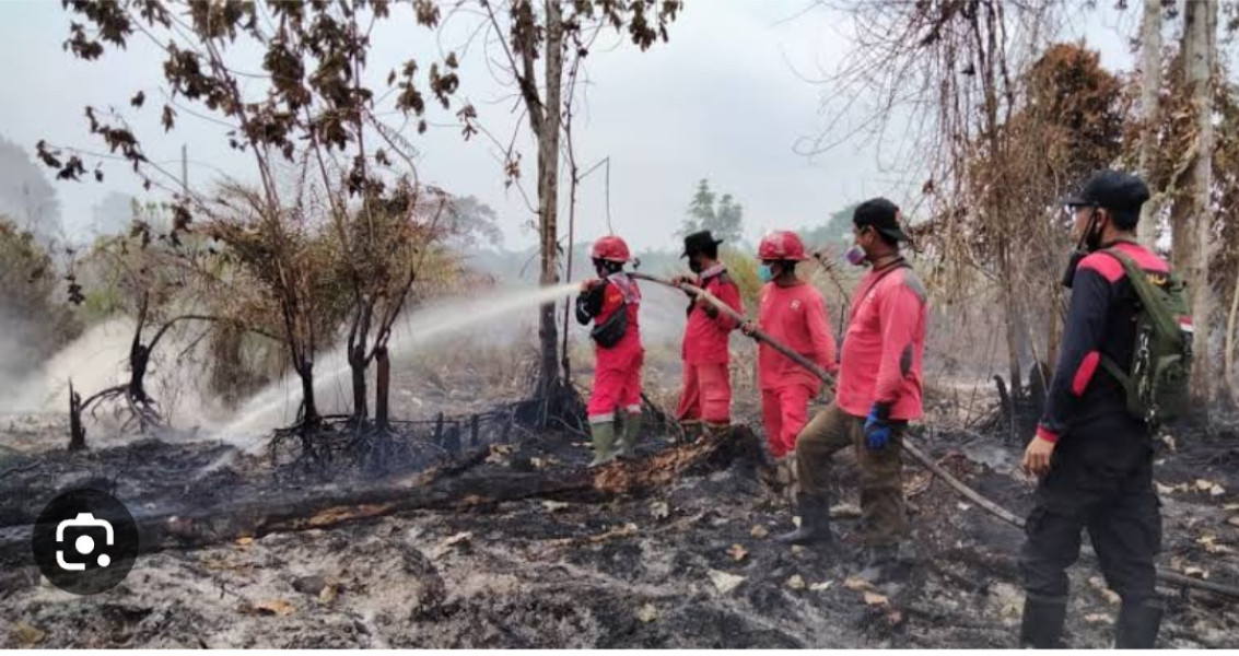 BPBD Terima Laporan Empat Kabupaten Dilanda Karhutla Termasuk Inhu