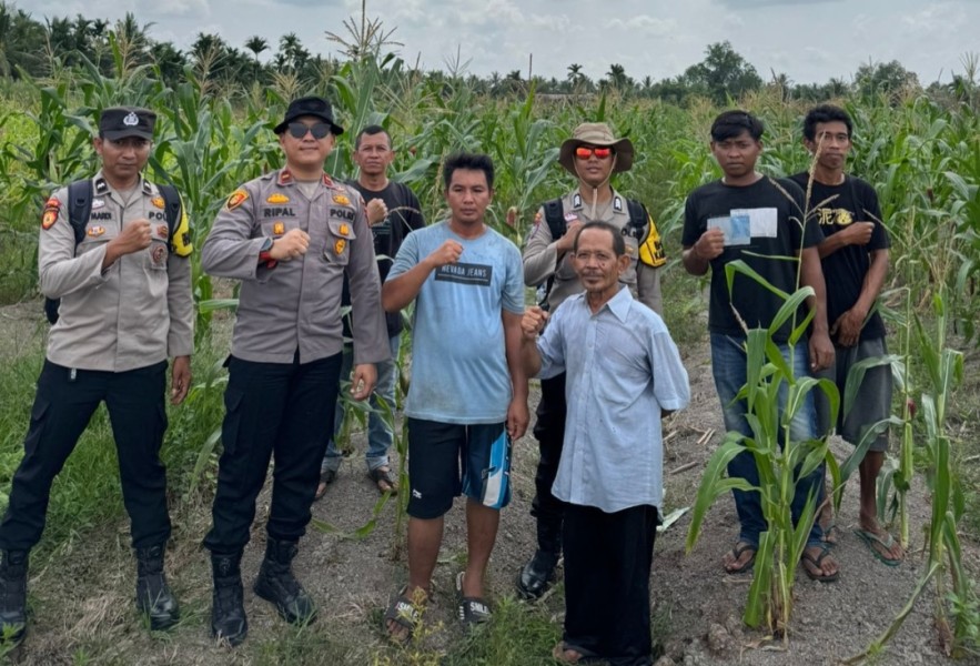 Kapolsek Tembilahan Aktif Cek Perkembangan Tanaman Jagung