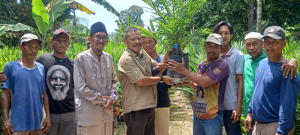 H Suwardi Ritonga Serahkan Bantuan Bibit Sawit