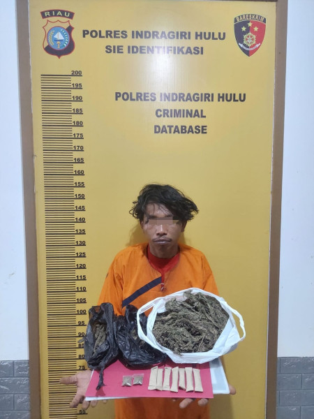 Polres Inhu Ringkus Terduga Pengedar Ganja Kering
