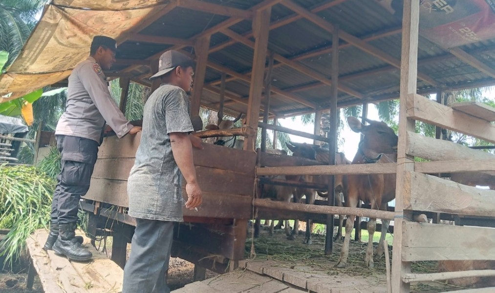 Bhanbinkamtibmas Polsek Kuala Cenaku Kunjungi Perternak Sapi