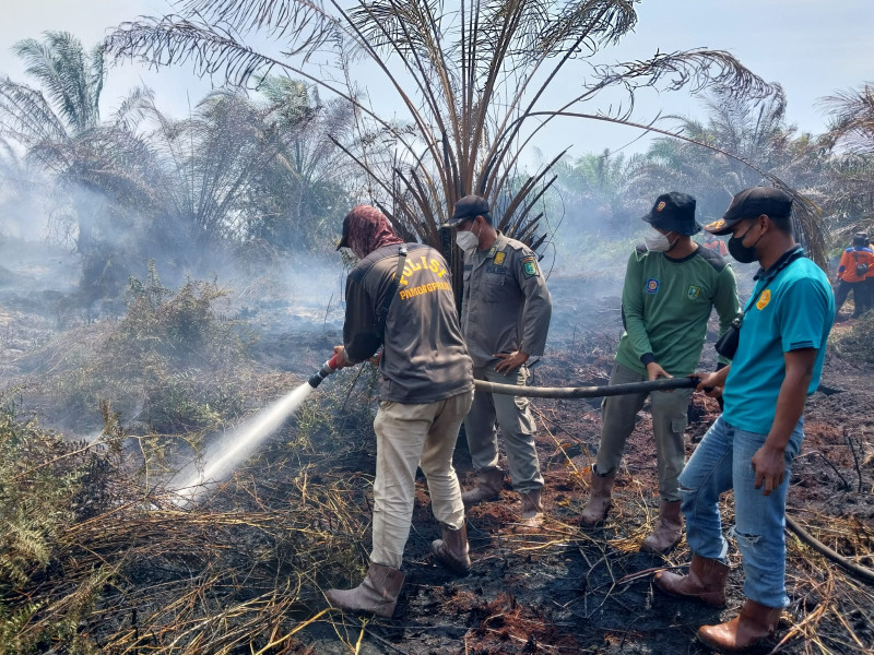 Misi TMC Padamkan Kebakaran Penyaguhan Inhu Berakhir