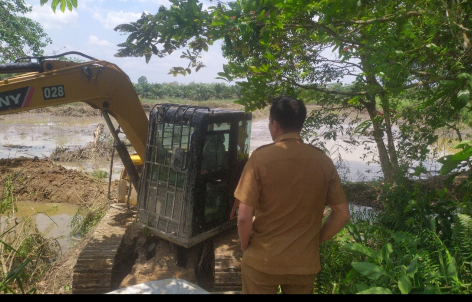 Pemdes Pulau Gajah Kembali Programkan Ketahanan Pangan Desa