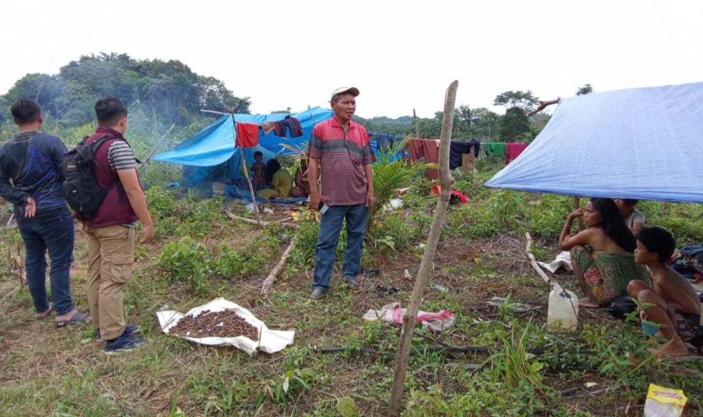 Ambil Buah Dengan Cara Menebang, Balai TNBT Tertibkan Masyarakat SAD Dari Jambi