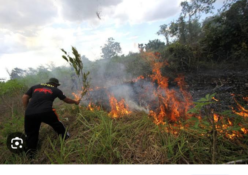 Riau Terdapat 39 Titik Panas, Inhu Nihil
