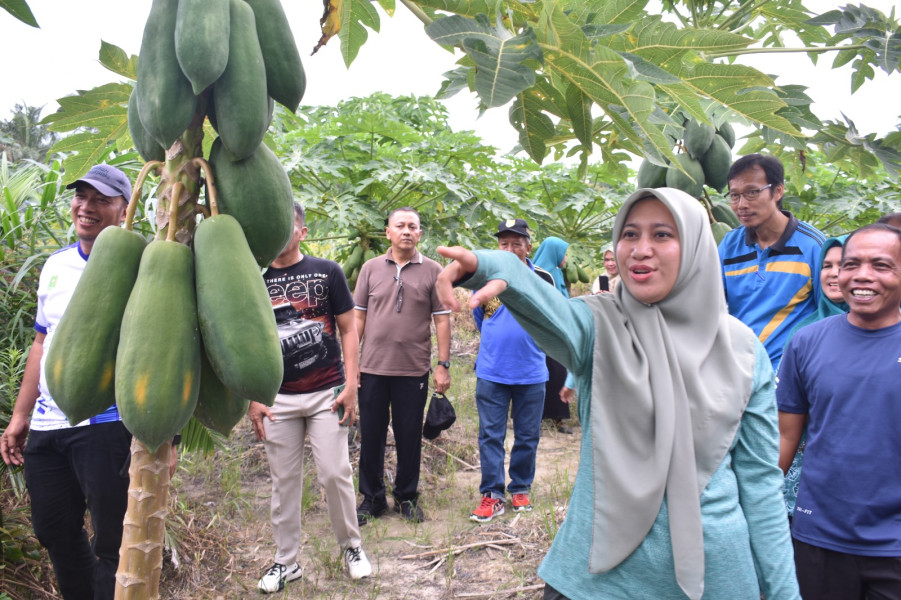Irama Desa  Menyapa Masyarakat di Kecamatan Lubuk Batu Jaya