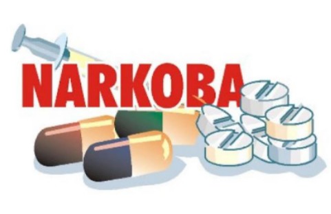 Kepala BNNP Riau Sambut Baik Peraturan Gubri Anti Narkoba