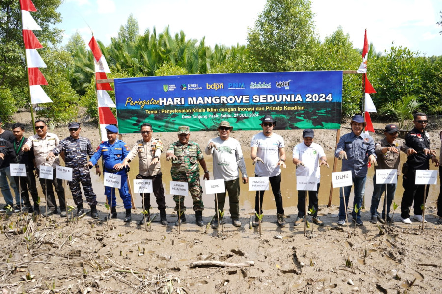 Hari Mangrove Sedunia 2024 BDPN dan PNM Pekanbaru Bersama UNISI  Tanam Bibit Mangrove