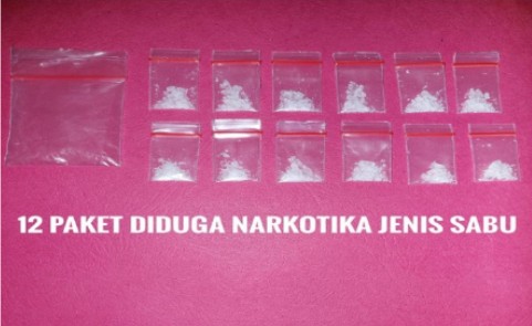 Menyamar Jadi Pembeli, Polisi Tangkap Wanita Pengedar Sabu