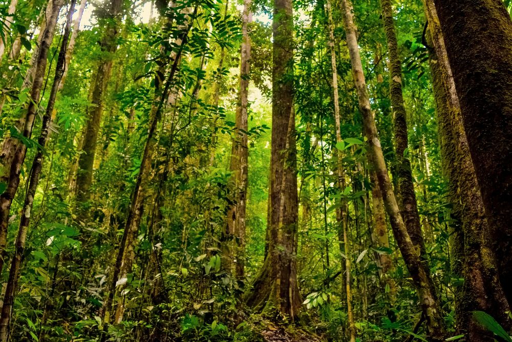 Gesa DLHK Riau Untuk Proses Penetapan Kawasan Hutan